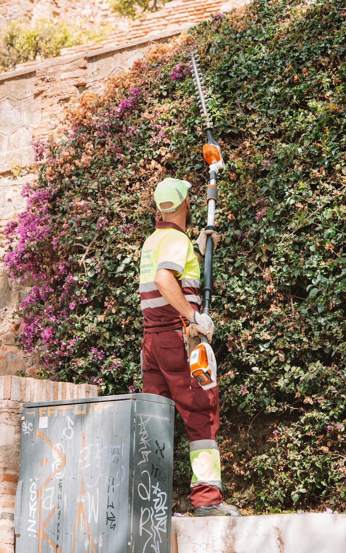 Jardin méditerranéen entretenu à Nice